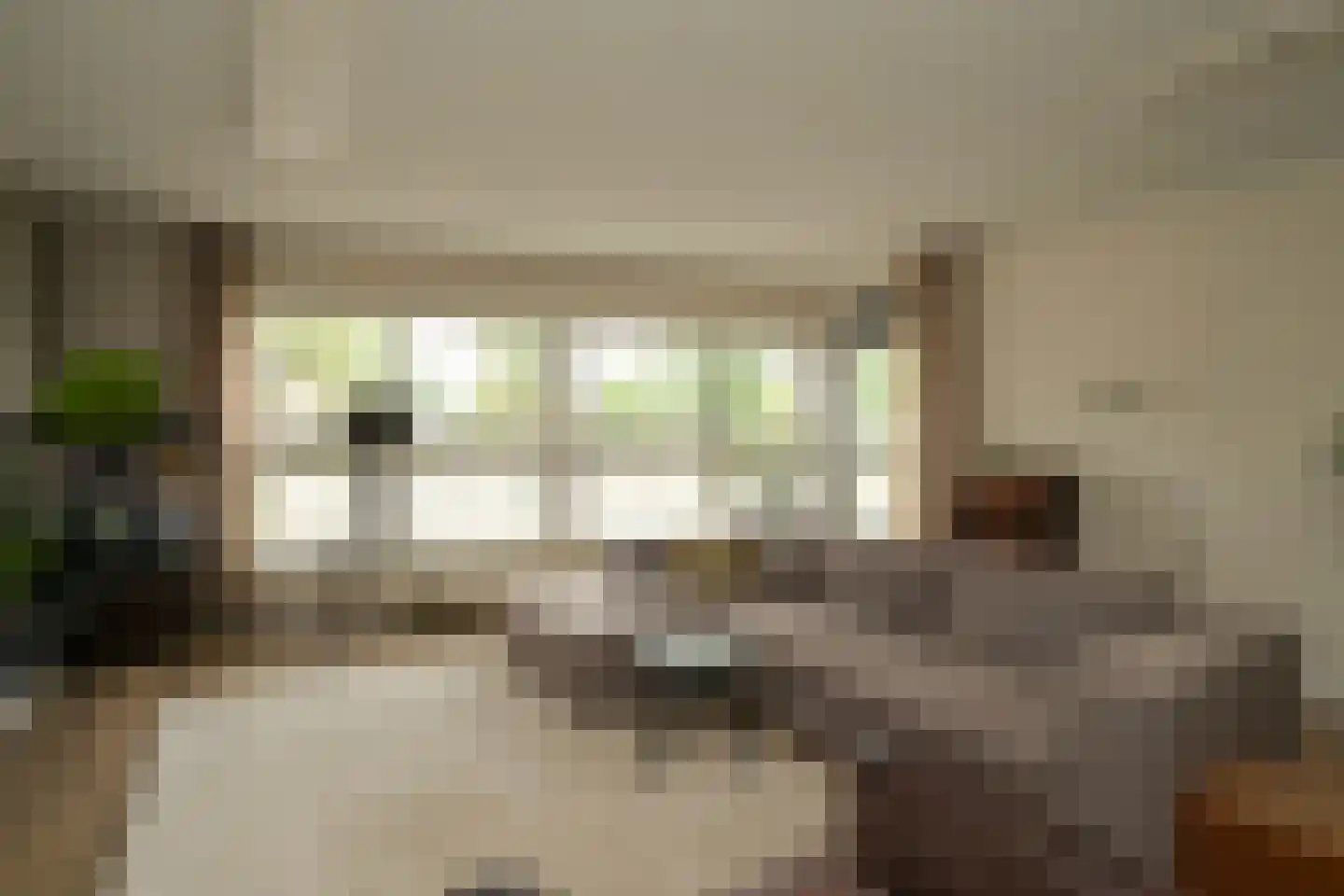 Cornelis de Wittlaan 14 Den Haag thumbnail 13