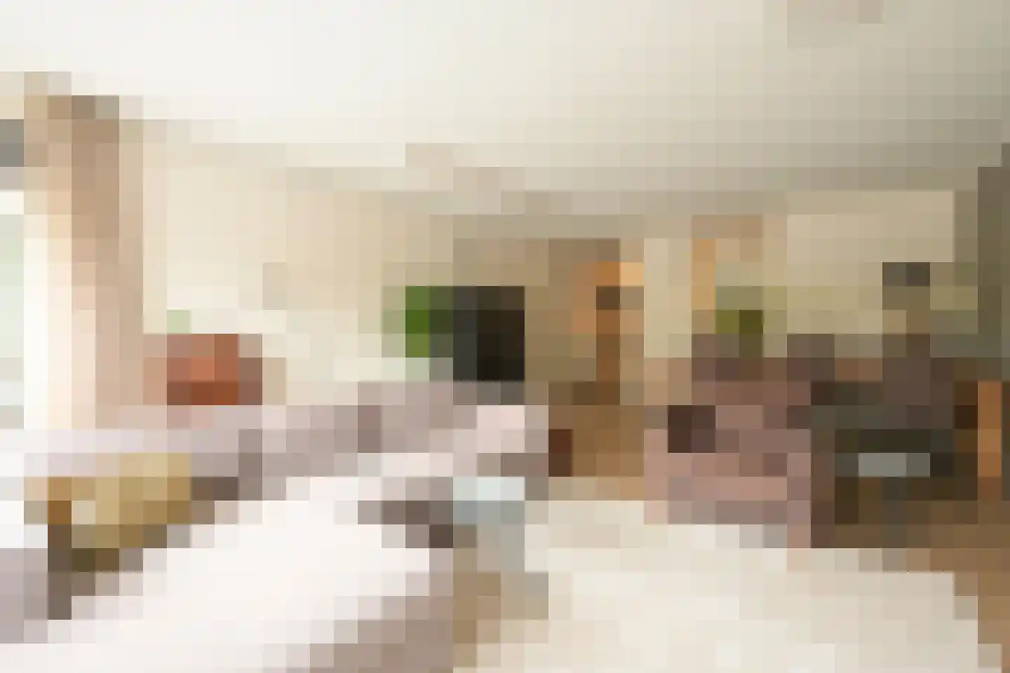 Cornelis de Wittlaan 14 Den Haag thumbnail 14