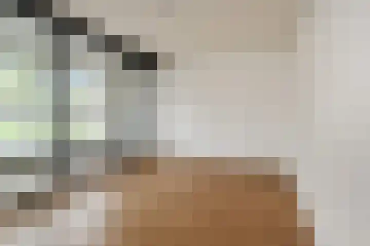 Cornelis de Wittlaan 14 Den Haag thumbnail 16