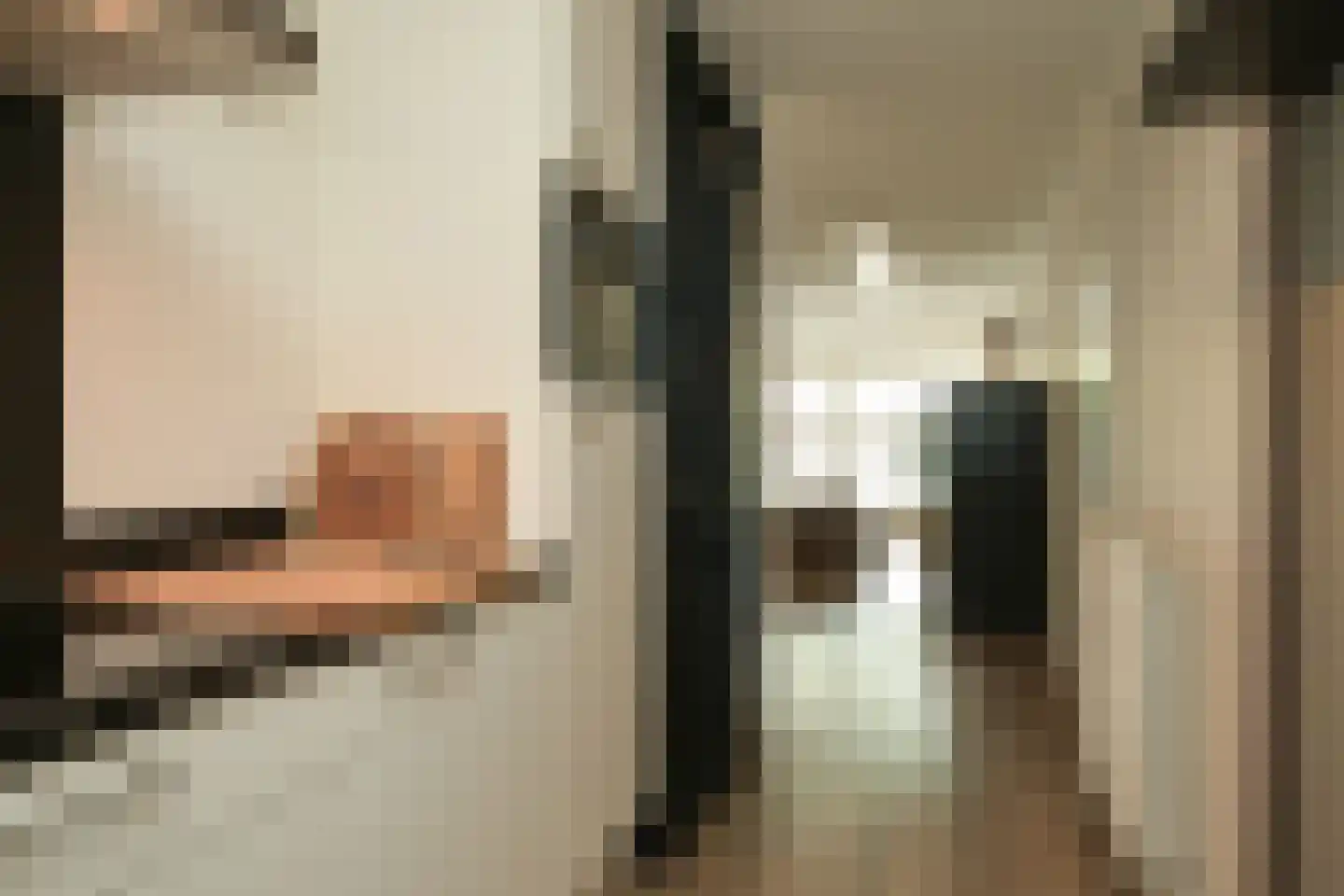 Cornelis de Wittlaan 14 Den Haag thumbnail 17