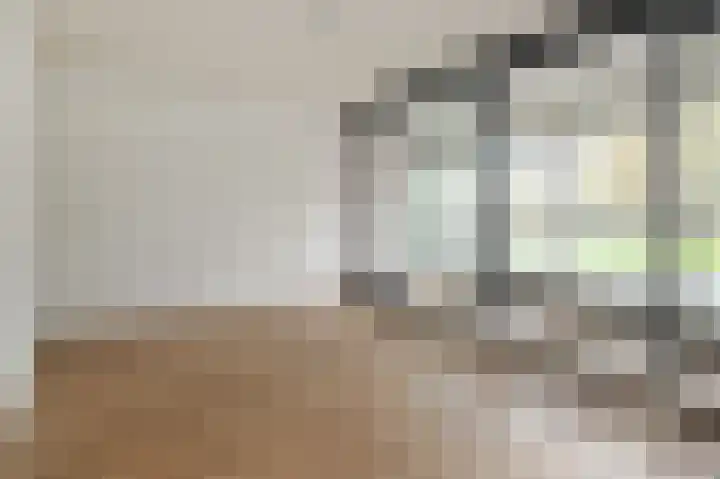 Cornelis de Wittlaan 14 Den Haag thumbnail 17