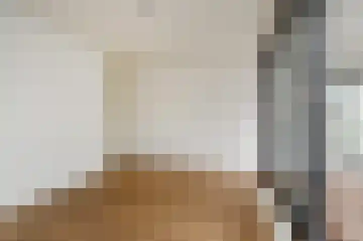 Cornelis de Wittlaan 14 Den Haag thumbnail 18
