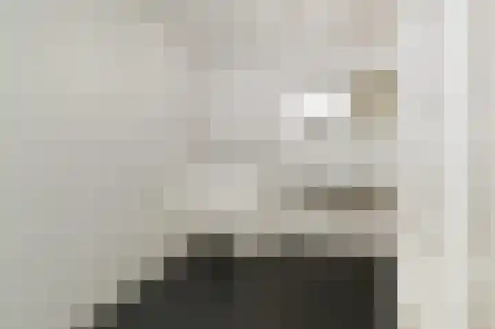 Cornelis de Wittlaan 14 Den Haag thumbnail 20