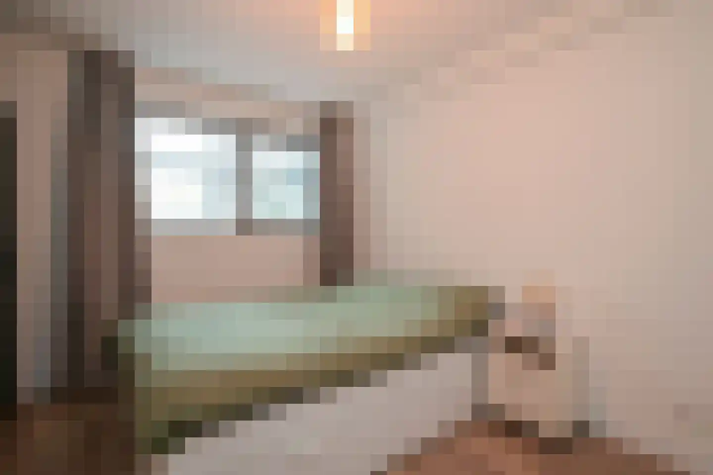 Cornelis de Wittlaan 14 Den Haag thumbnail 20