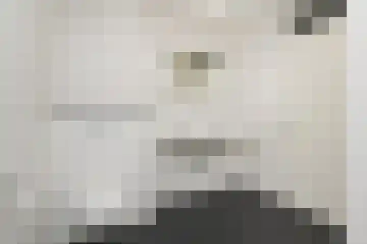 Cornelis de Wittlaan 14 Den Haag thumbnail 21