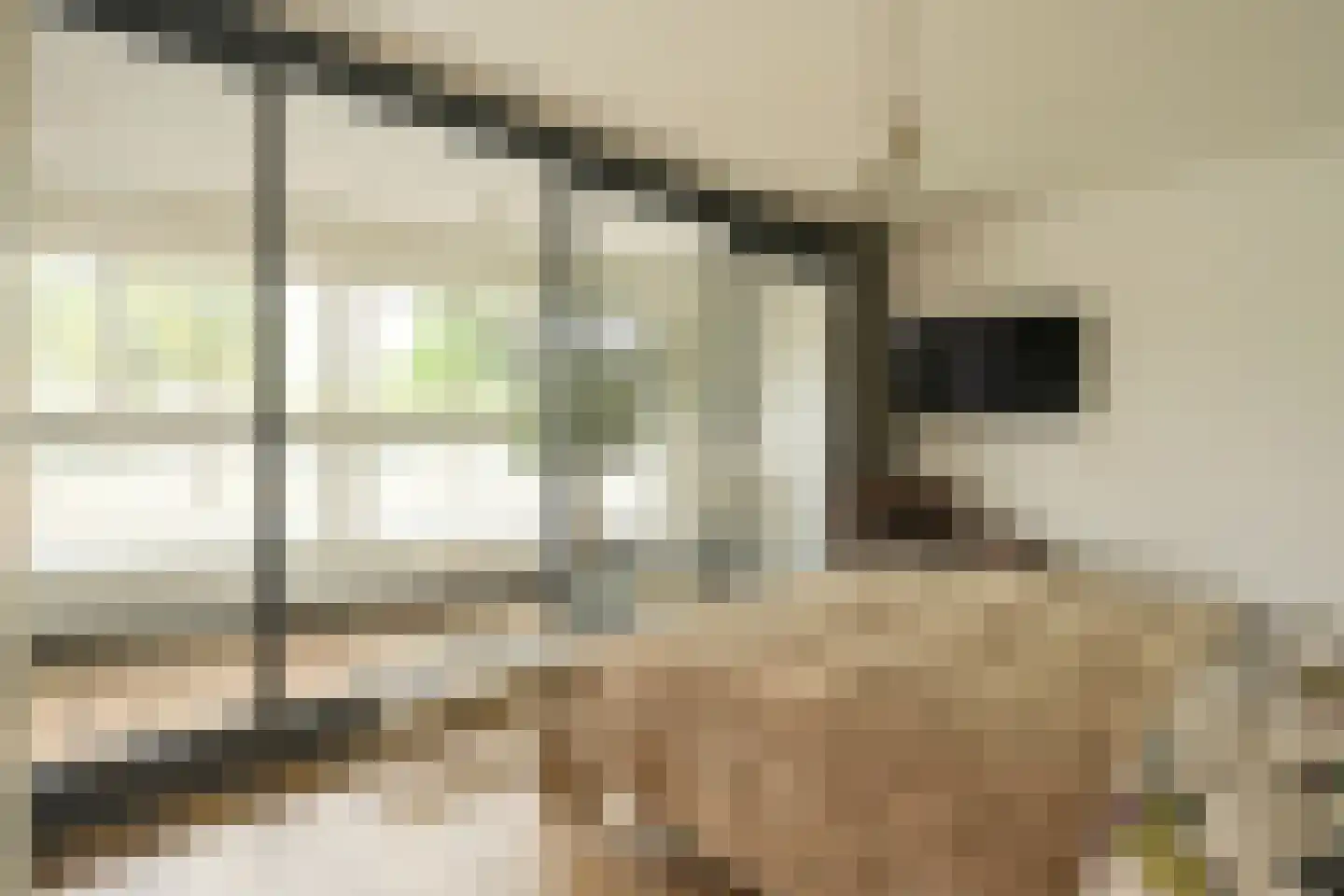 Cornelis de Wittlaan 14 Den Haag thumbnail 22