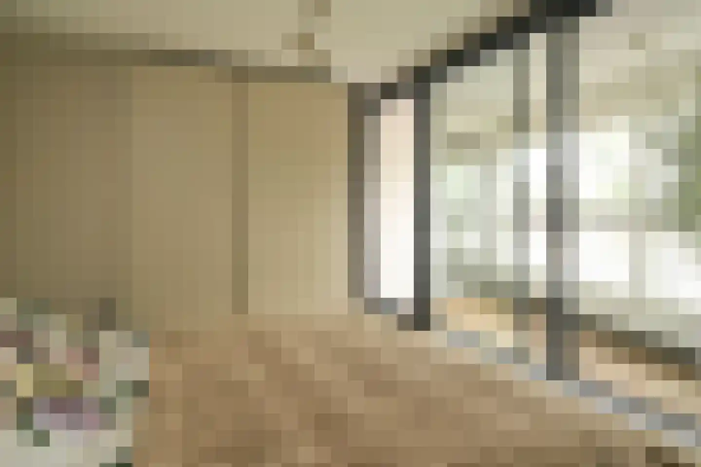 Cornelis de Wittlaan 14 Den Haag thumbnail 26