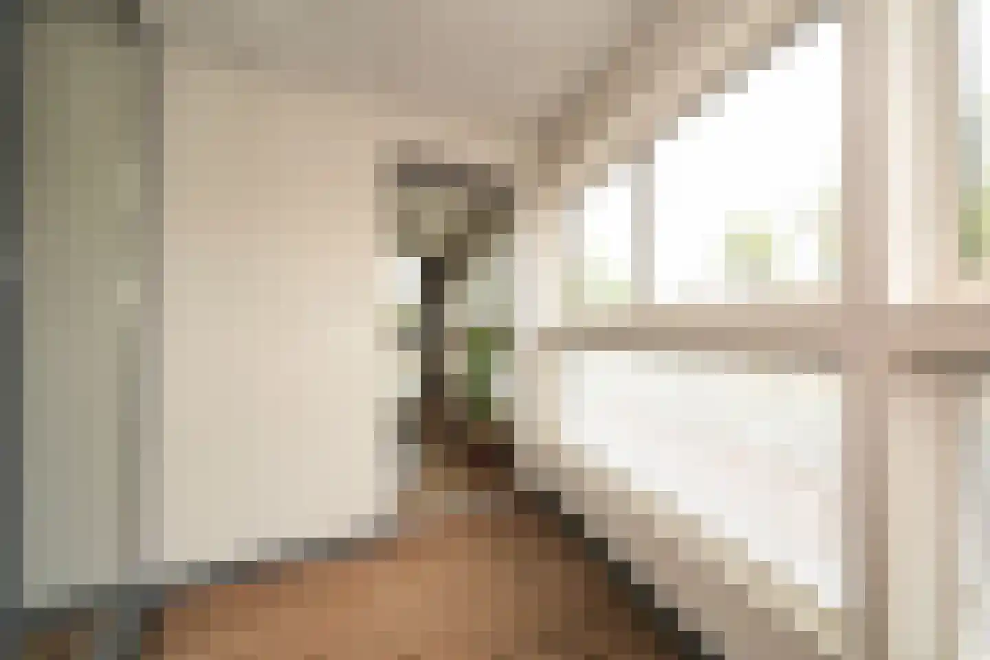 Cornelis de Wittlaan 14 Den Haag thumbnail 27