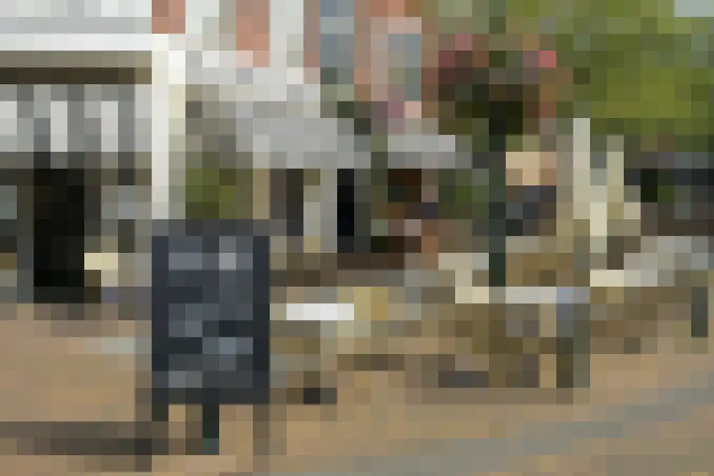 Cornelis de Wittlaan 14 Den Haag thumbnail 34