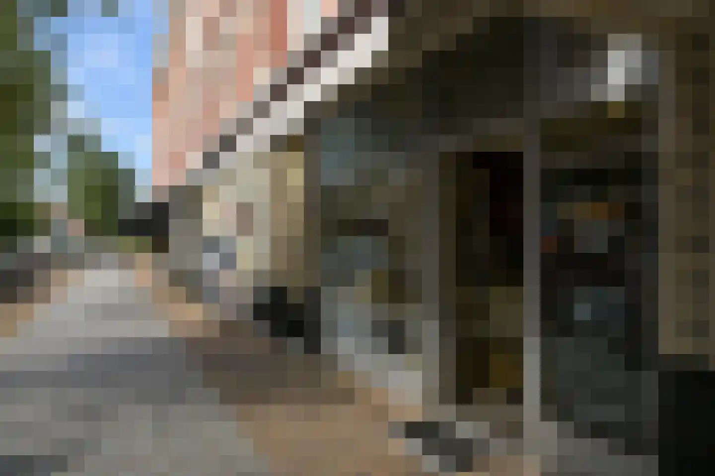 Cornelis de Wittlaan 14 Den Haag thumbnail 35