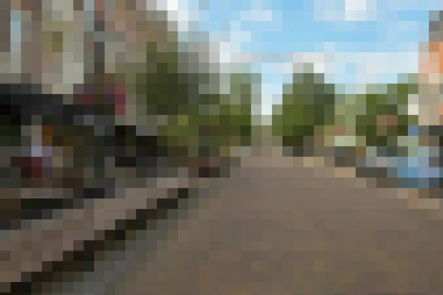 Cornelis de Wittlaan 14 Den Haag thumbnail 36