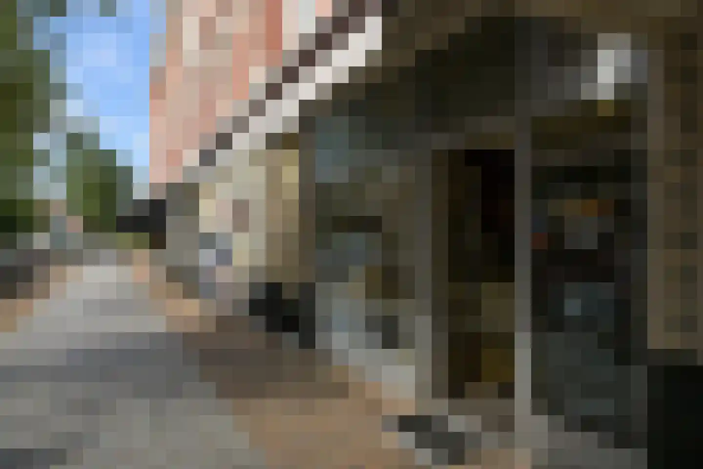 Cornelis de Wittlaan 14 Den Haag thumbnail 37