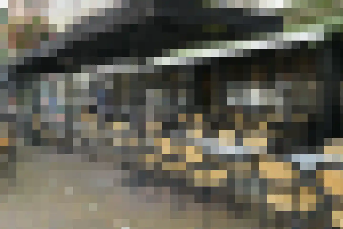 Cornelis de Wittlaan 14 Den Haag thumbnail 37