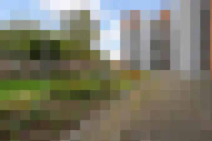 Cornelis de Wittlaan 14 Den Haag thumbnail 4