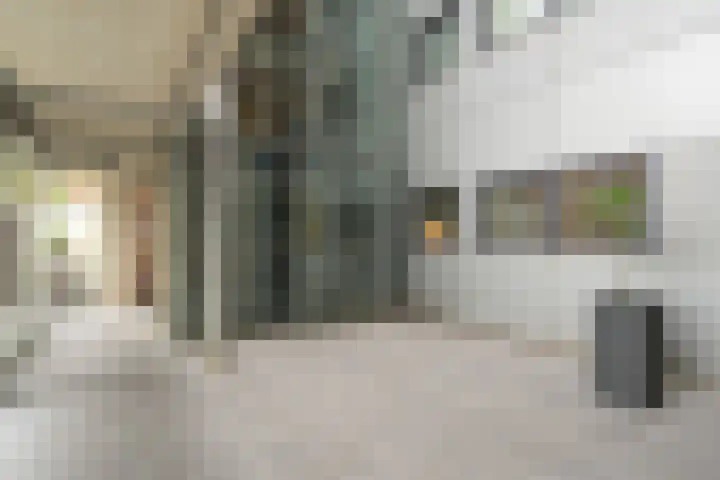 Cornelis de Wittlaan 14 Den Haag thumbnail 7