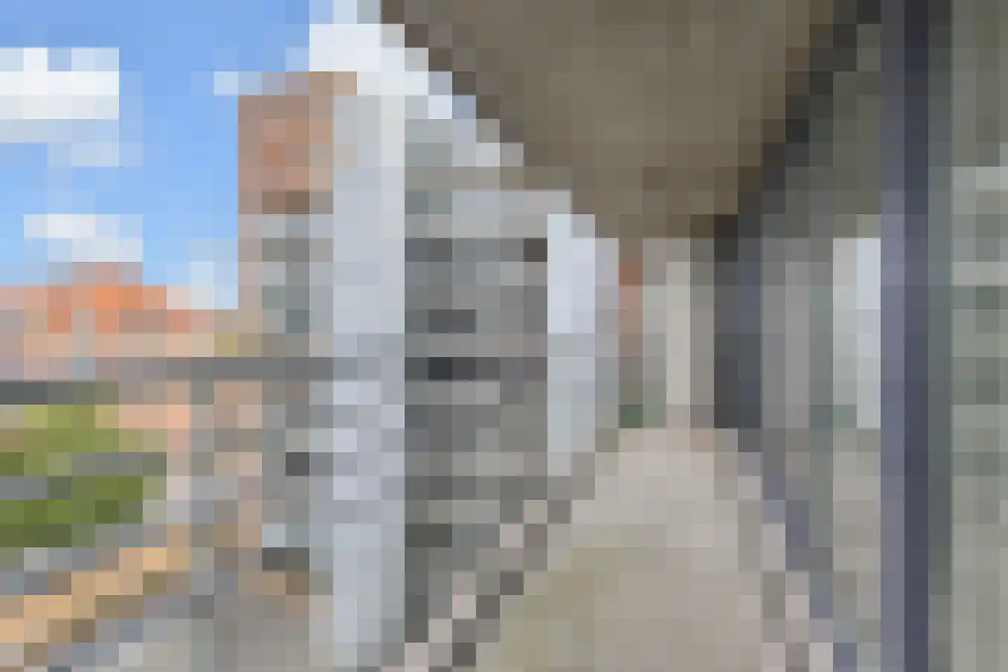 Cornelis de Wittlaan 142 Den Haag thumbnail 21
