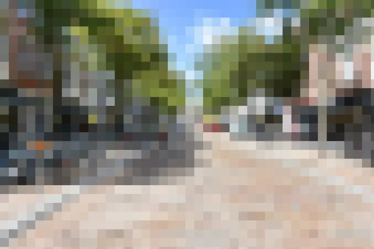 Cornelis de Wittlaan 142 Den Haag thumbnail 38
