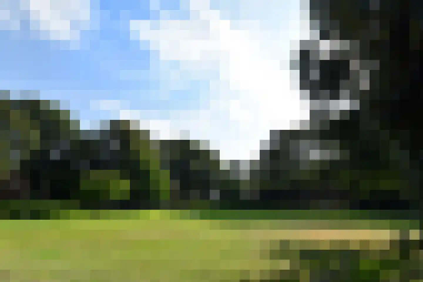 Cornelis de Wittlaan 142 Den Haag thumbnail 42