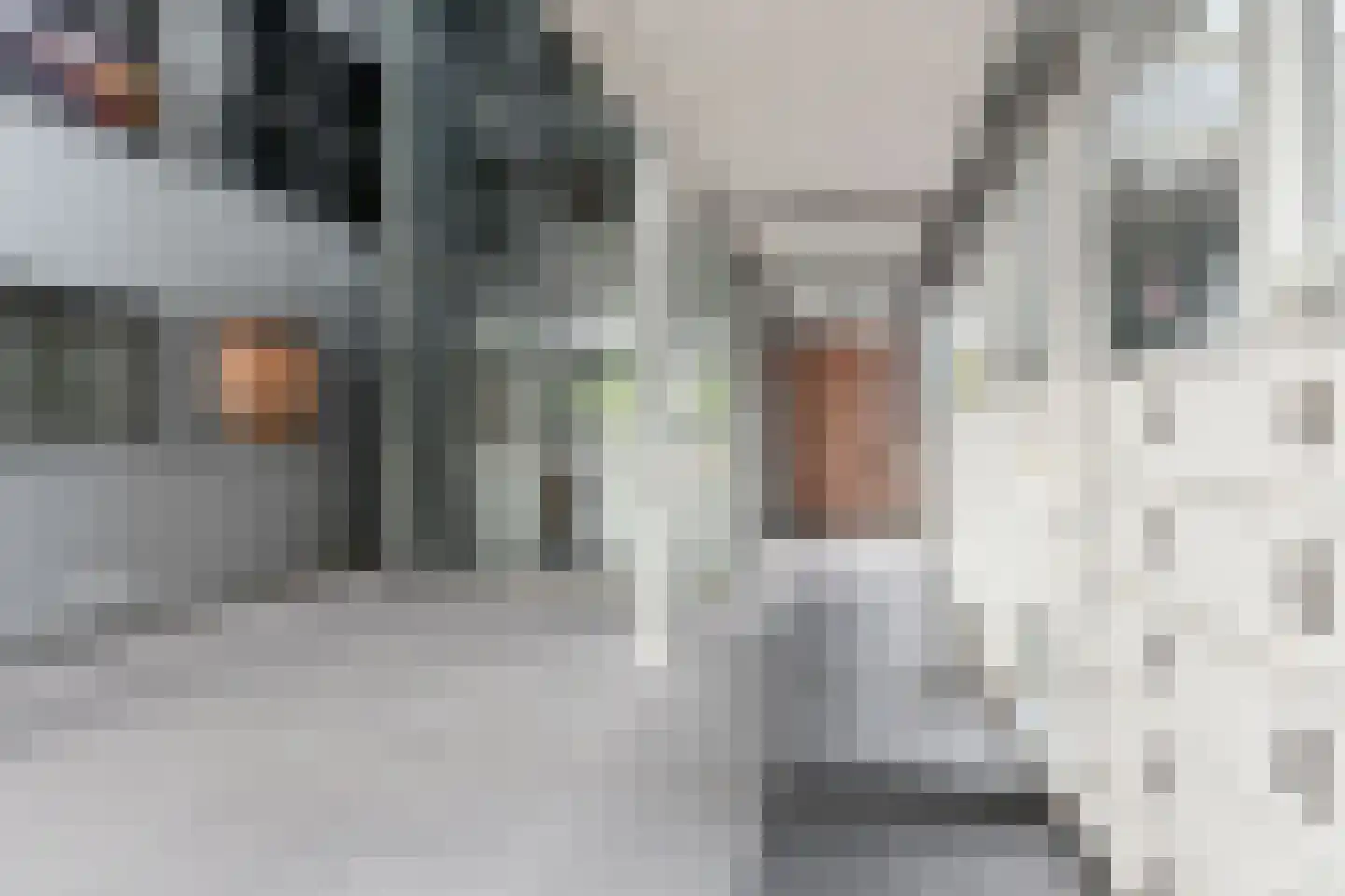 Cornelis de Wittlaan 142 Den Haag thumbnail 8