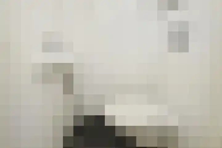 Cornelis de Wittlaan 150 Den Haag thumbnail 17