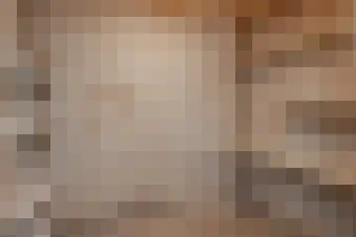Cornelis de Wittlaan 150 Den Haag thumbnail 31
