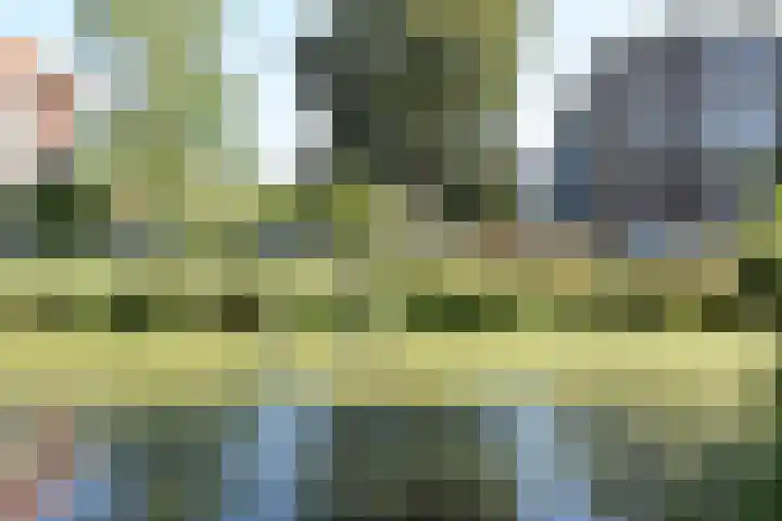 Cornelis de Wittlaan 224 Den Haag thumbnail 42