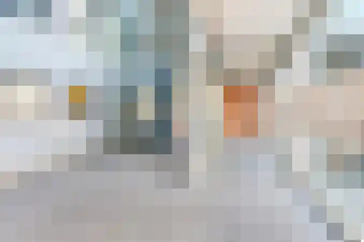 Cornelis de Wittlaan 224 Den Haag thumbnail 6