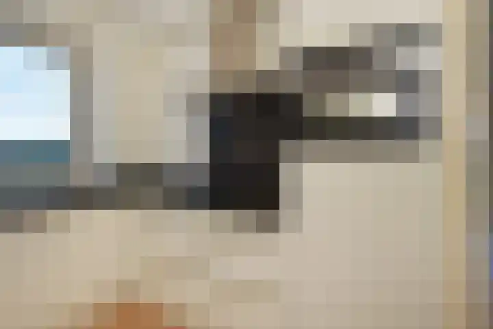 Cornelis de Wittlaan 260 Den Haag thumbnail 16