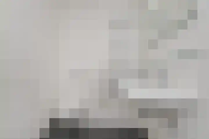 Cornelis de Wittlaan 260 Den Haag thumbnail 27