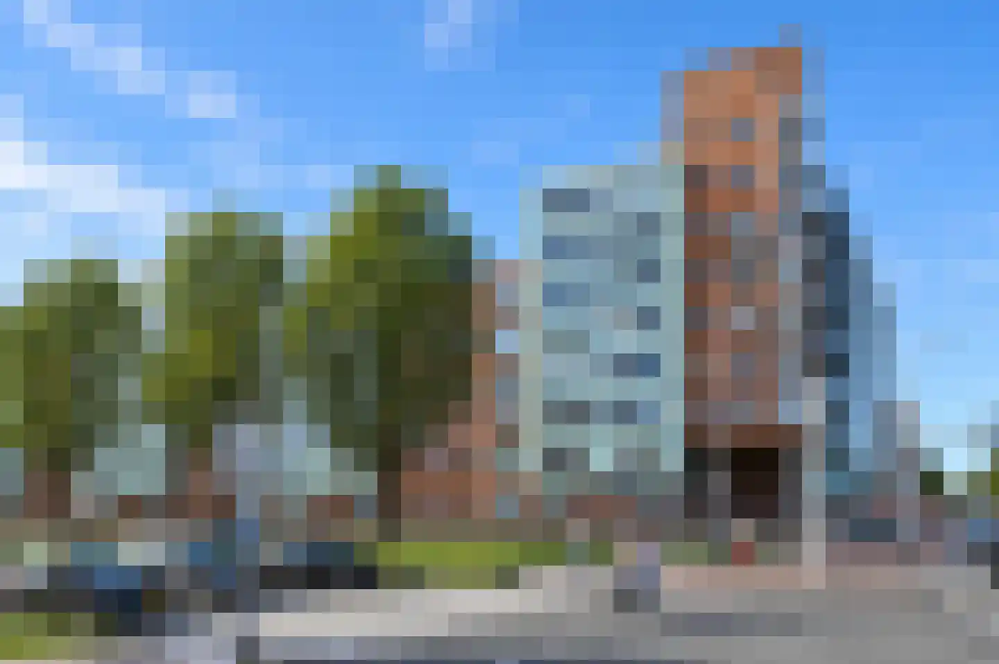Cornelis de Wittlaan 30 Den Haag thumbnail 29