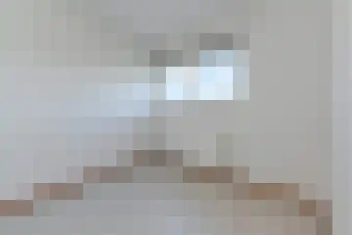 Cornelis de Wittlaan 34 Den Haag thumbnail 20