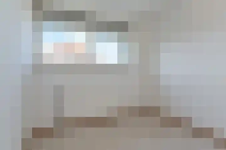 Cornelis de Wittlaan 34 Den Haag thumbnail 21