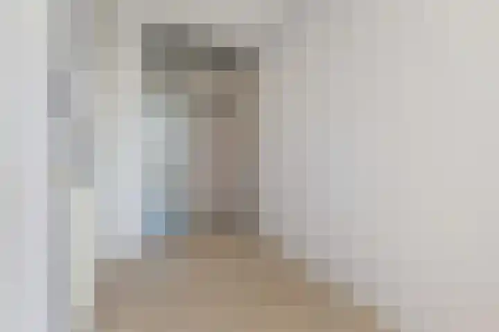 Cornelis de Wittlaan 34 Den Haag thumbnail 27