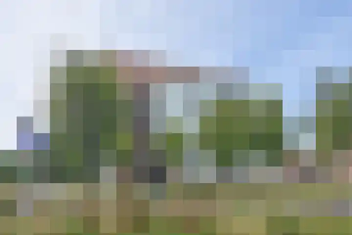 Cornelis de Wittlaan 34 Den Haag thumbnail 32
