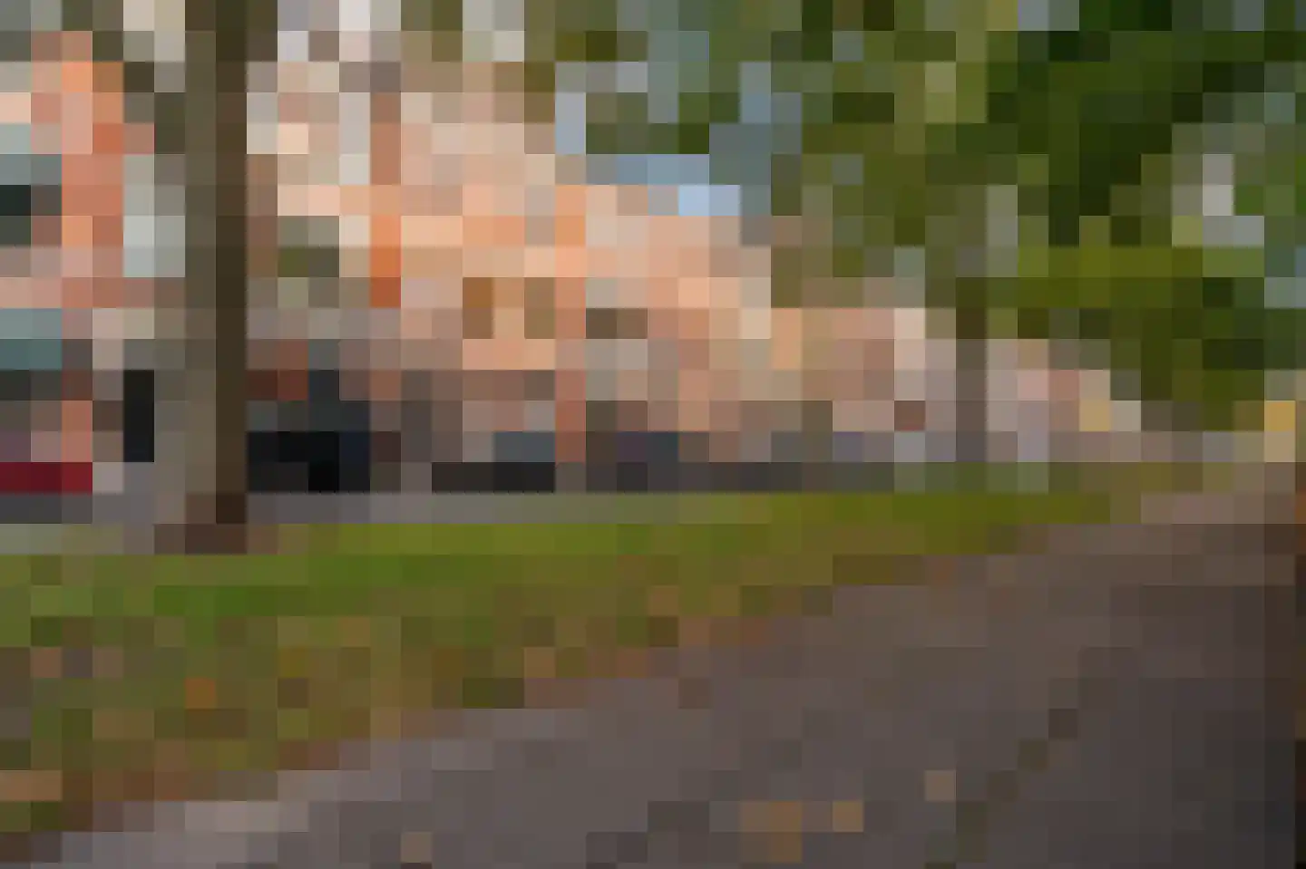Cornelis de Wittlaan 35 B Den Haag thumbnail 24