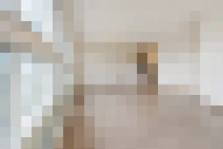 Cornelis de Wittlaan 36 Den Haag thumbnail 13
