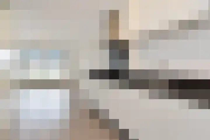 Cornelis de Wittlaan 36 Den Haag thumbnail 17