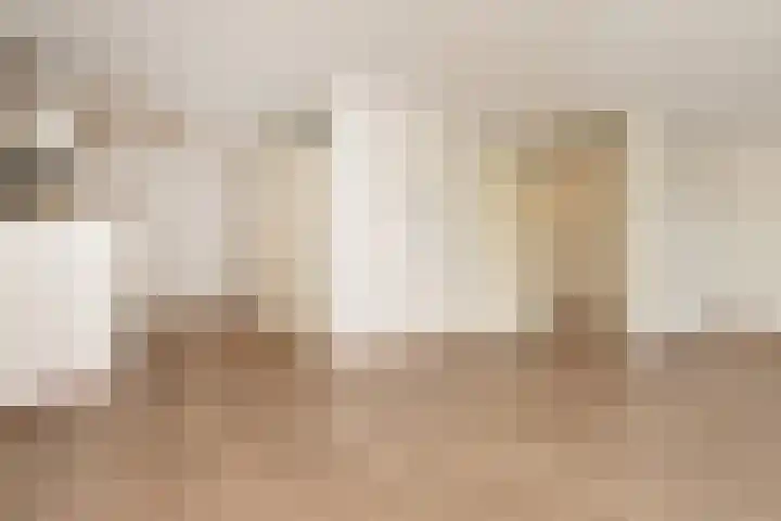 Cornelis de Wittlaan 36 Den Haag thumbnail 18