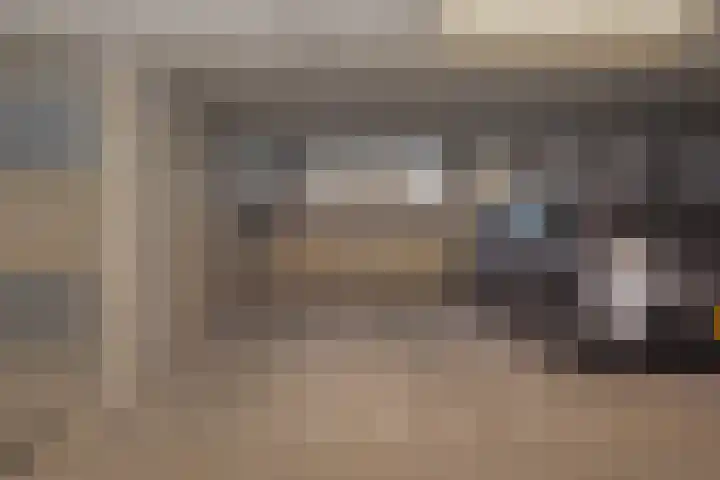 Cornelis de Wittlaan 36 Den Haag thumbnail 37