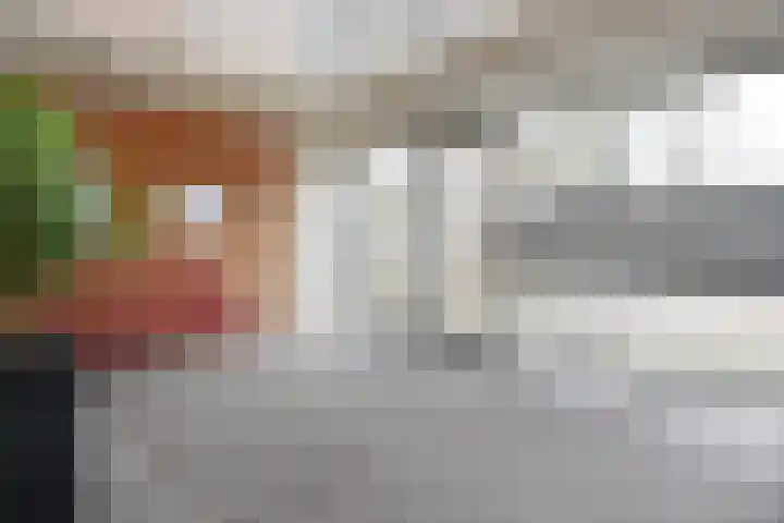 Cornelis de Wittlaan 36 Den Haag thumbnail 5