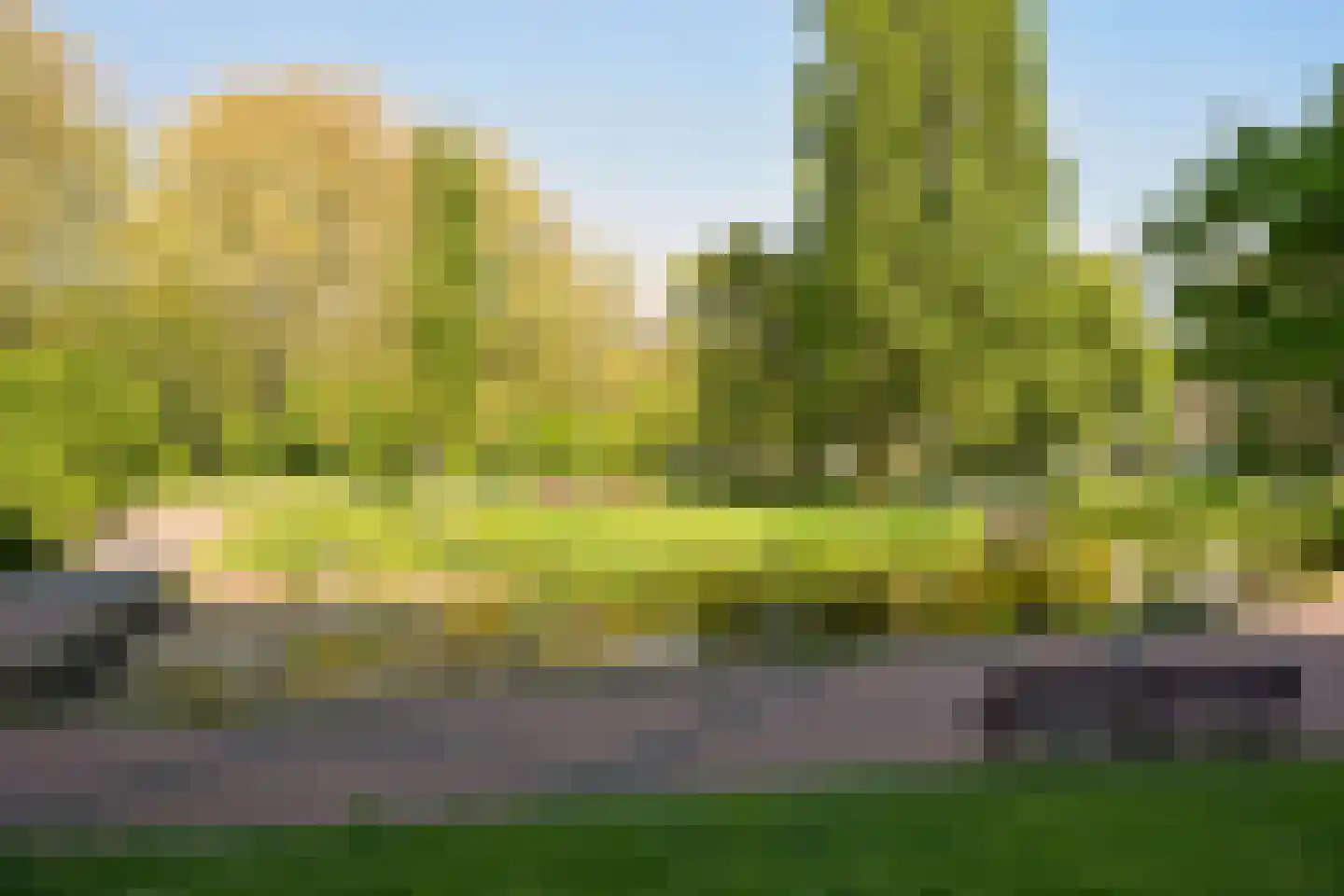 Cornelis de Wittlaan 476 Den Haag thumbnail 40