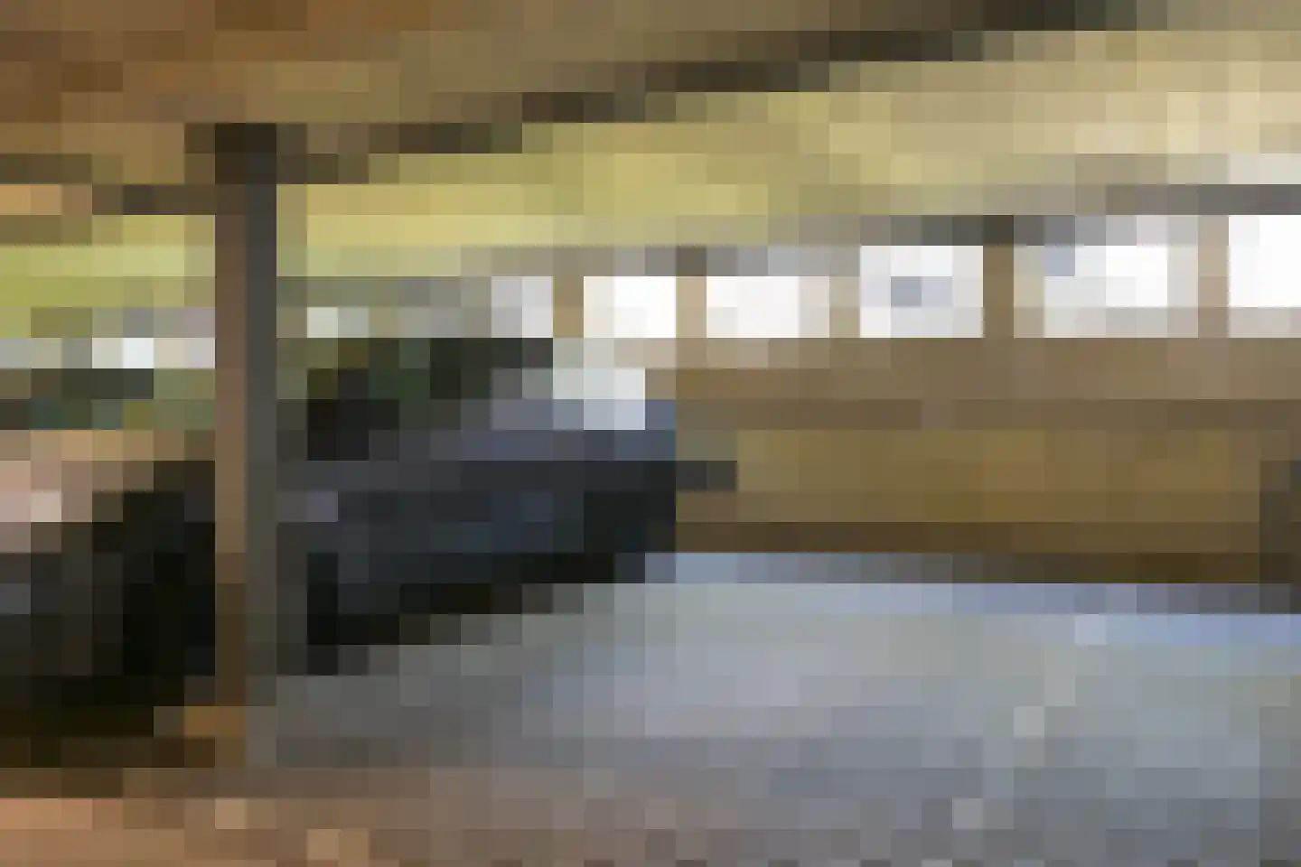 Cornelis de Wittlaan 476 Den Haag thumbnail 6