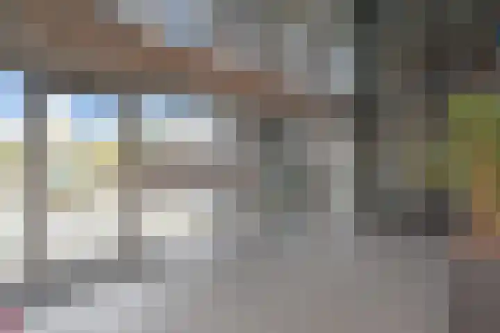 Cornelis de Wittlaan 50 Den Haag thumbnail 31