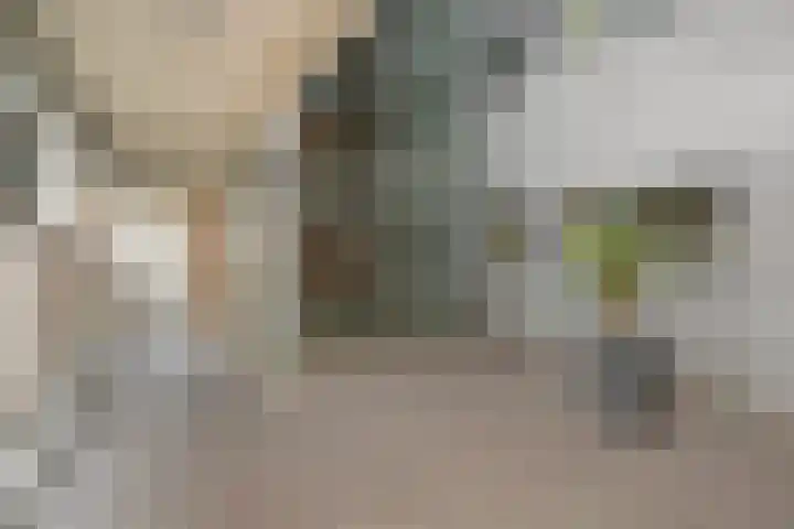 Cornelis de Wittlaan 50 Den Haag thumbnail 6