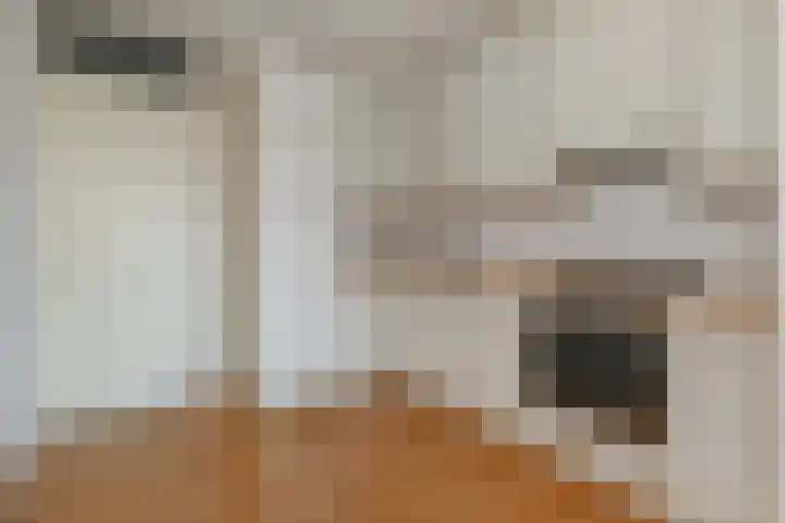 Cornelis de Wittlaan 542 Den Haag thumbnail 13