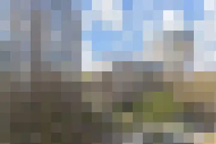 Cornelis de Wittlaan 542 Den Haag thumbnail 31