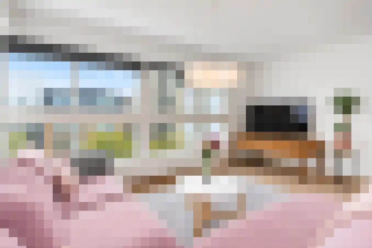Cornelis de Wittlaan 632 Den Haag thumbnail 11