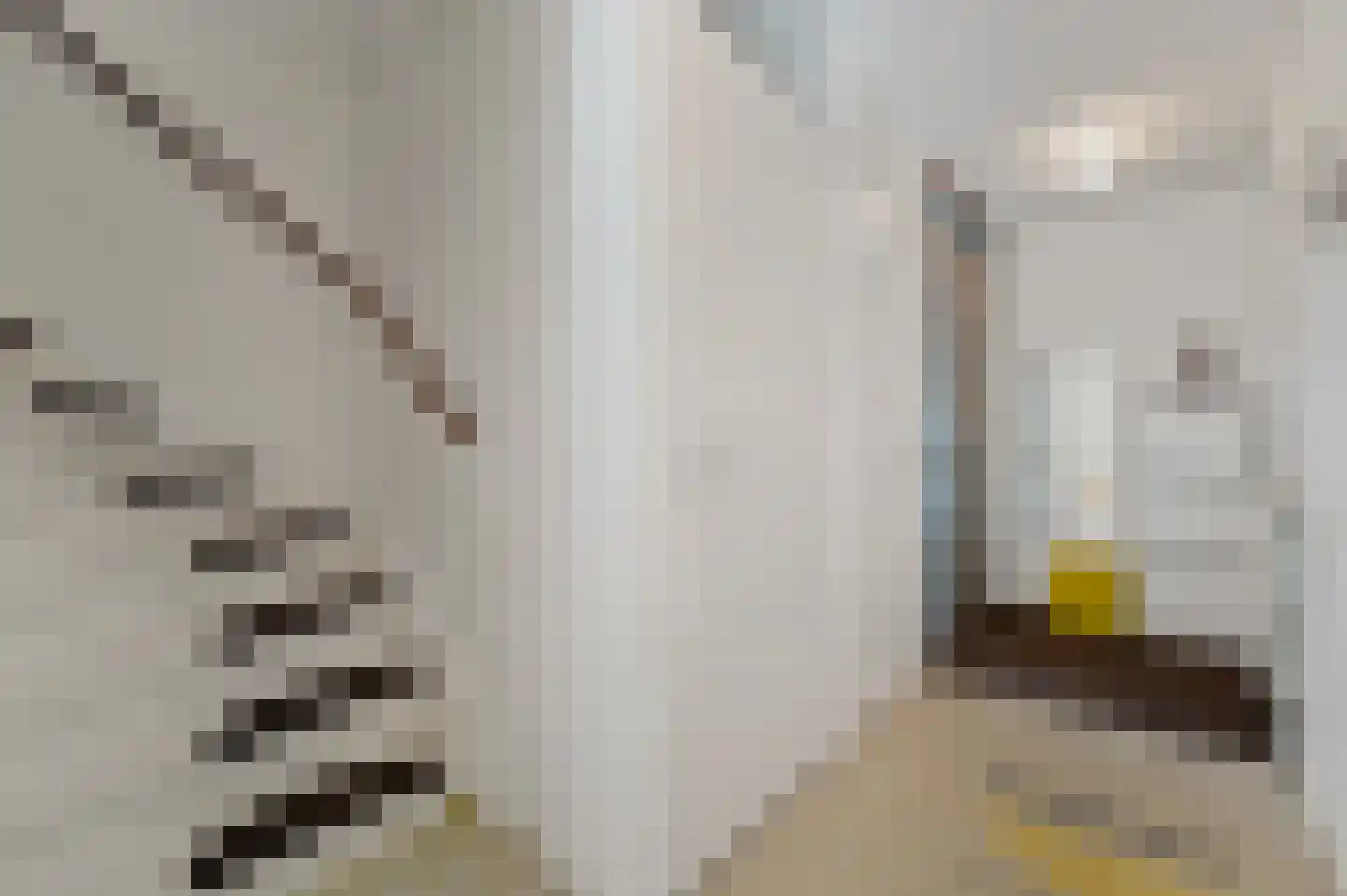Cornelis de Wittlaan 642 Den Haag thumbnail 19