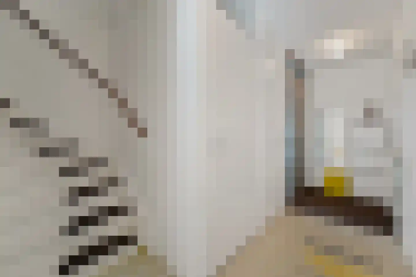 Cornelis de Wittlaan 642 Den Haag thumbnail 20