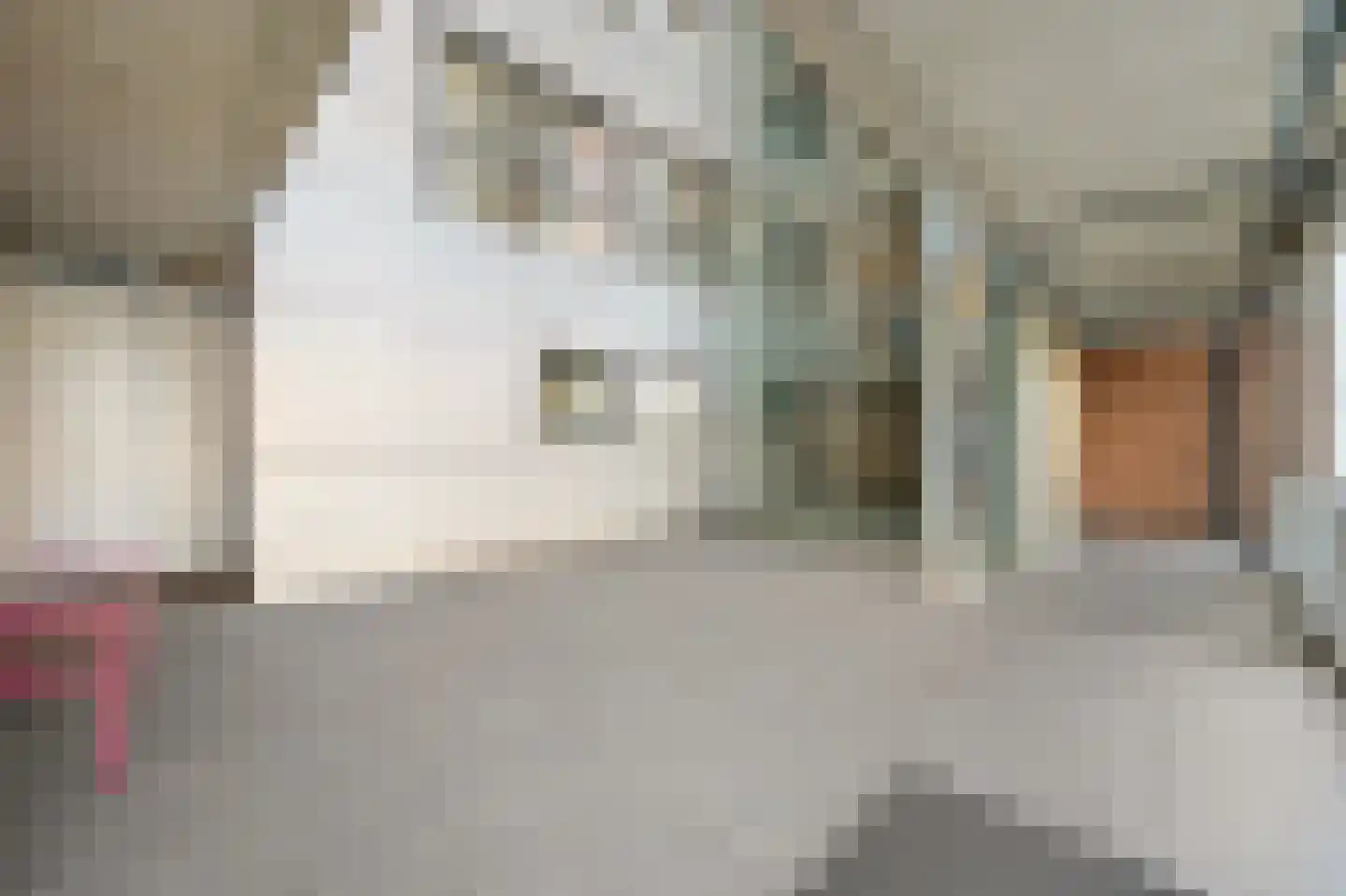 Cornelis de Wittlaan 642 Den Haag thumbnail 8